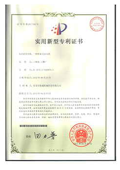 实用新型专利---一种框架式小蝌蚪视频下载污