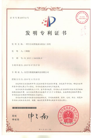 发明专利-全自动智能小蝌蚪视频下载污加工系统